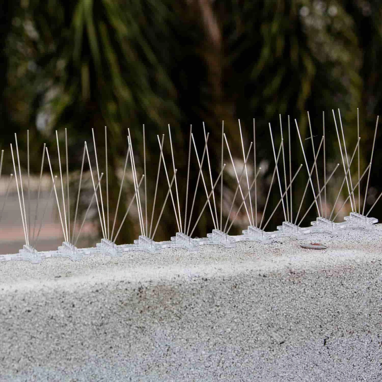 Bird Spike Installation Dubai