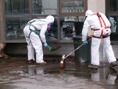 Bird Waste Removal Dubai