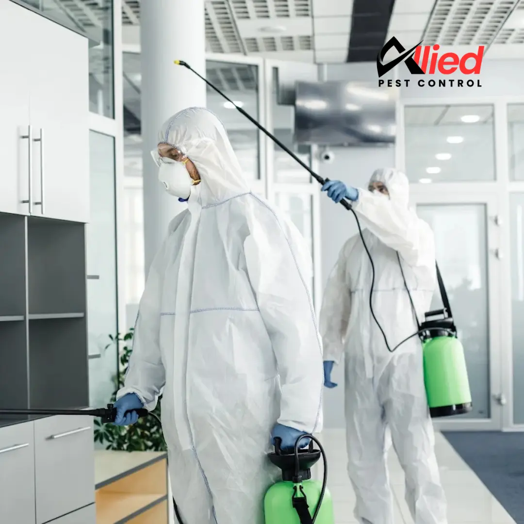 Allied Pest Control professional pest control team