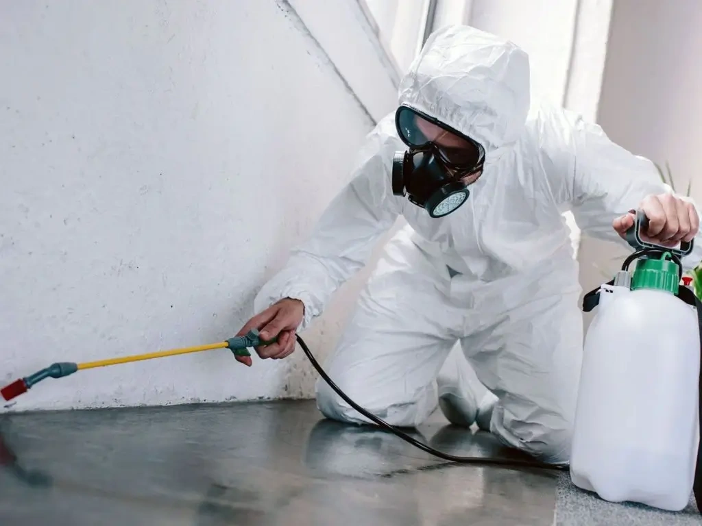 Professional general pest control technician treating a home in Dubai