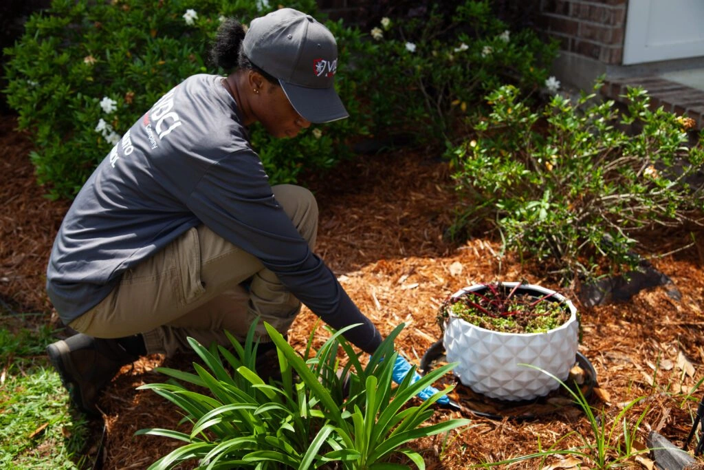 Commercial Property Treatment Dubai